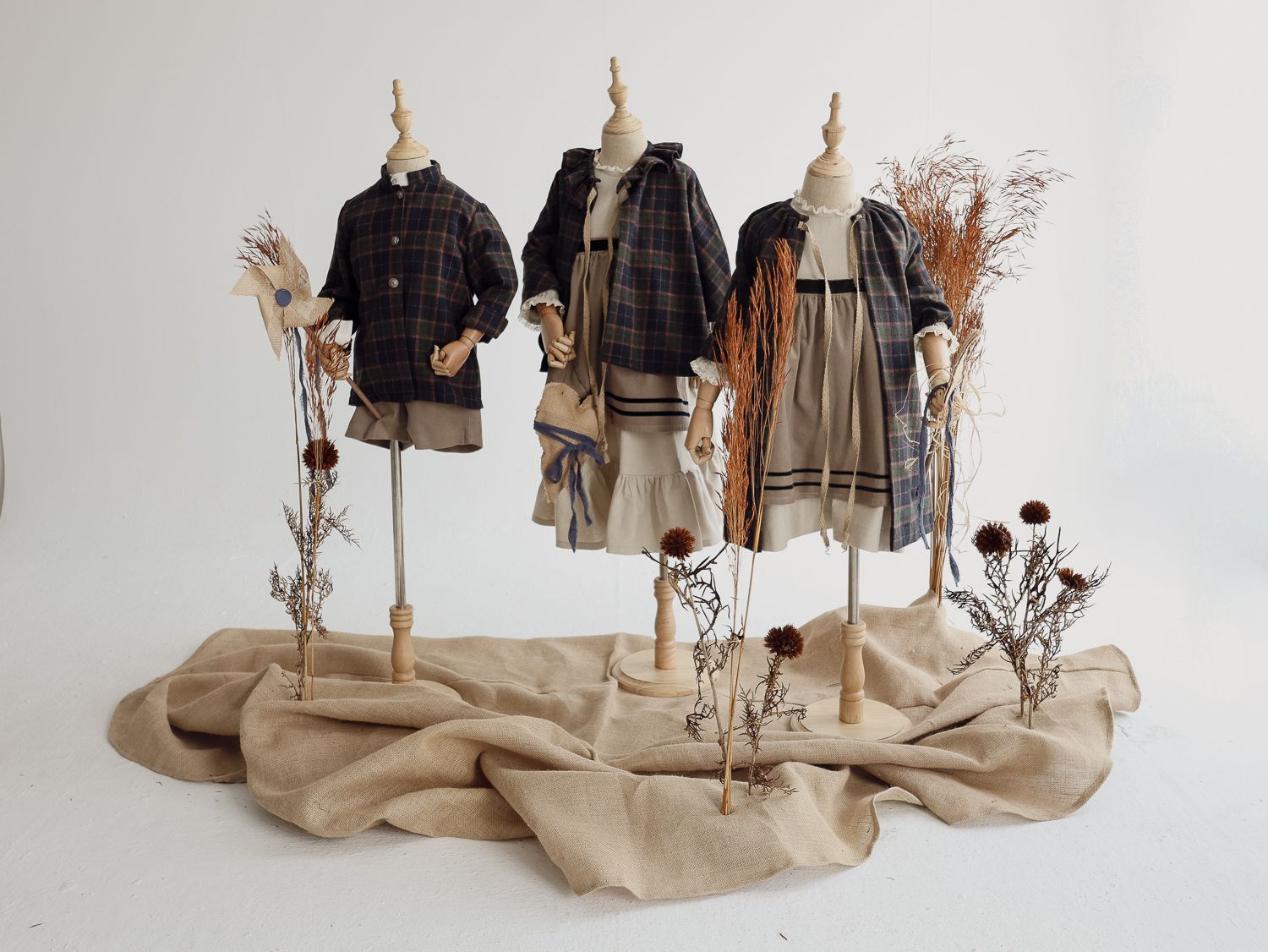 Odoo • Texto e imagen